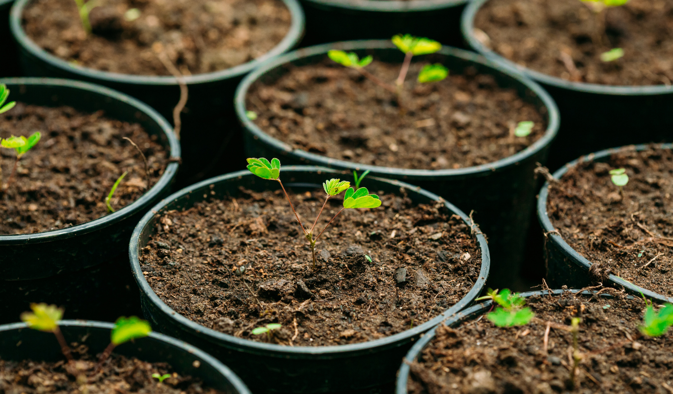 Organic Agriculture Solutions