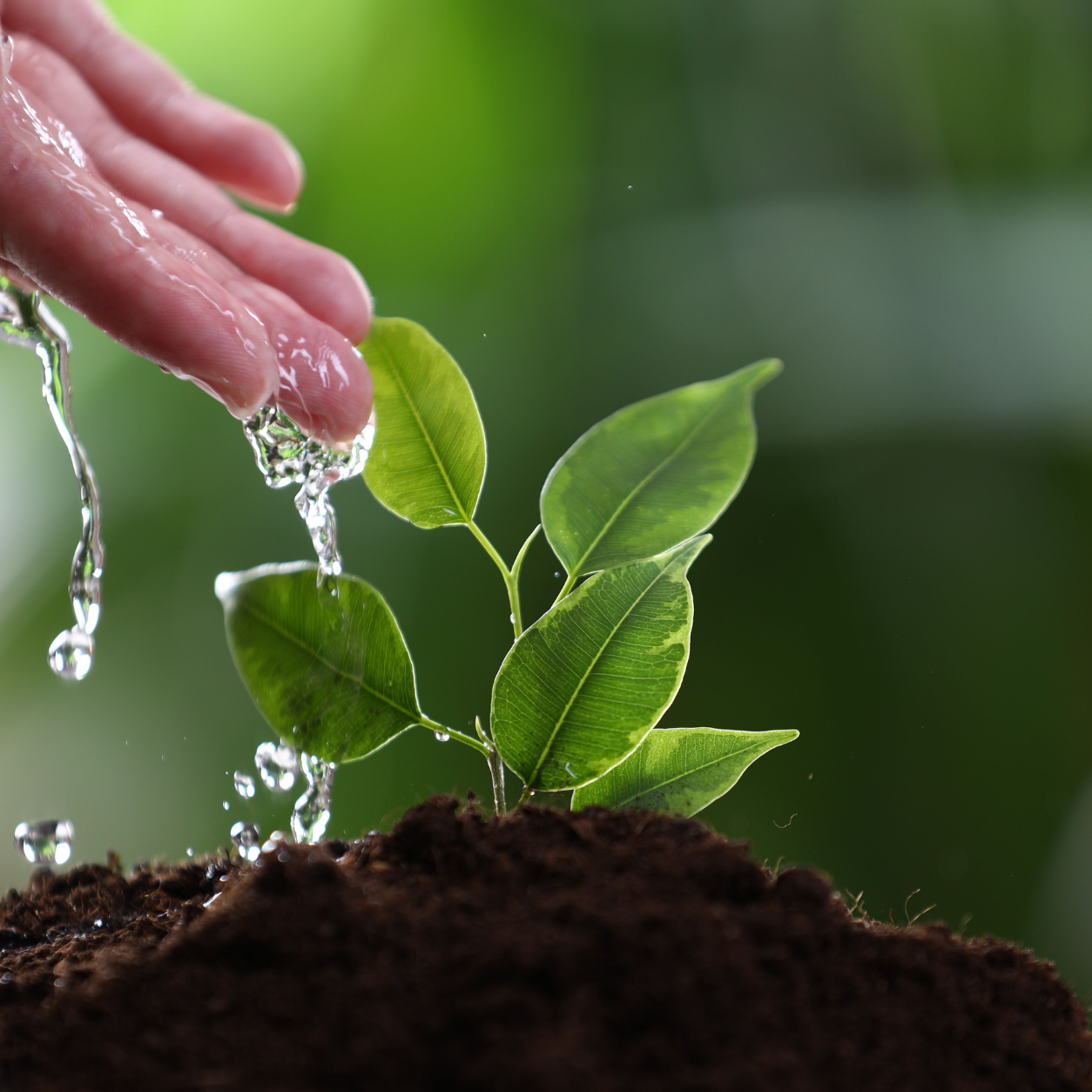 Soil and Water Conservation