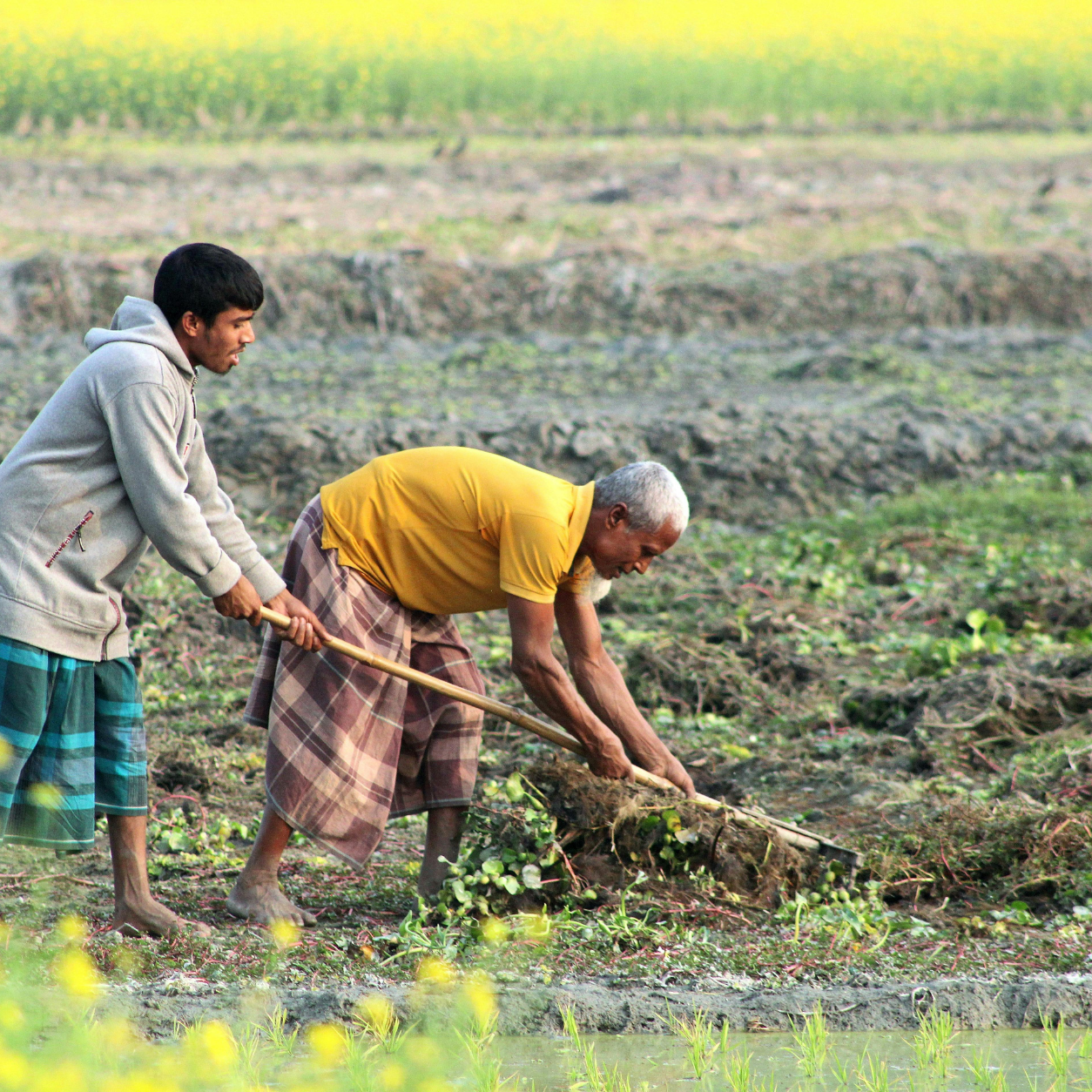 Farmer Training